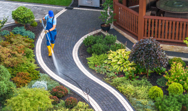 Best Exterior Home Cleaning  in Farmington, IL