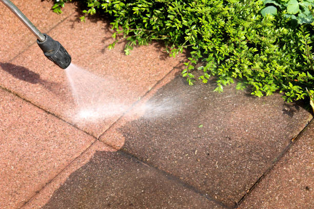 Best Local Pressure Washing Services  in Farmington, IL